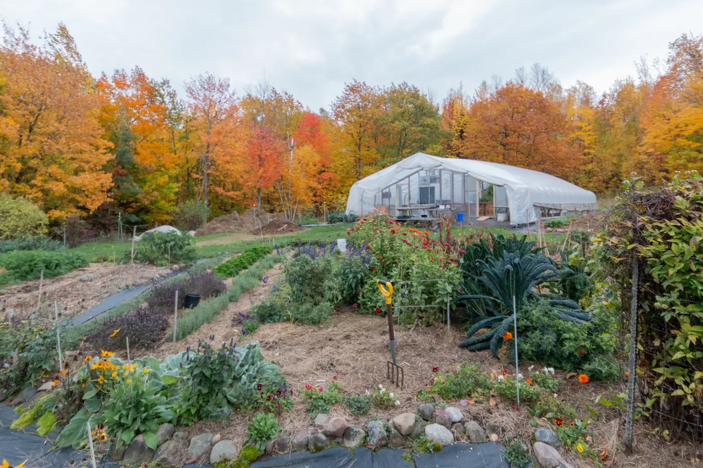Gardens and greenhouse surrounded by fall color
