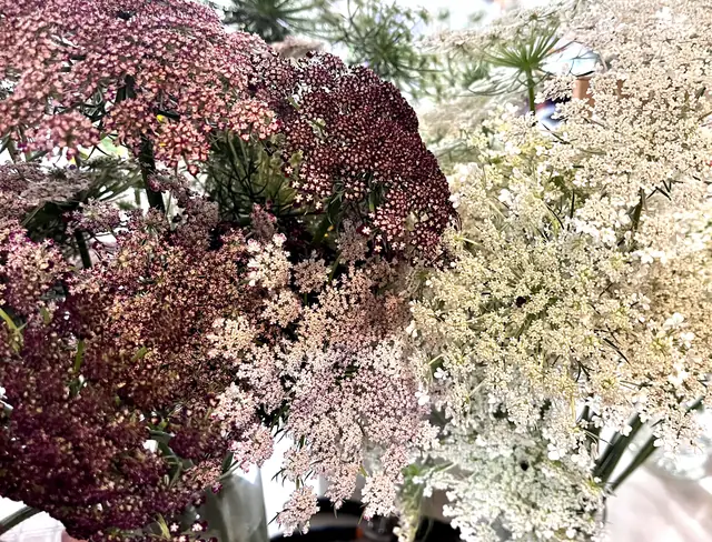 Bouquet of dara in burgundy and white