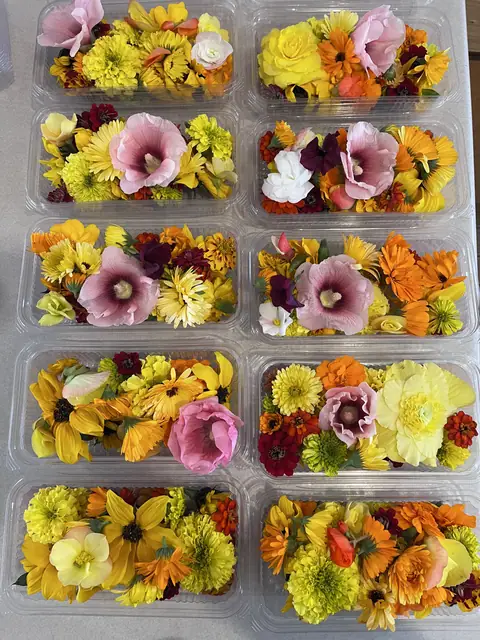 Boxes of edible flowers