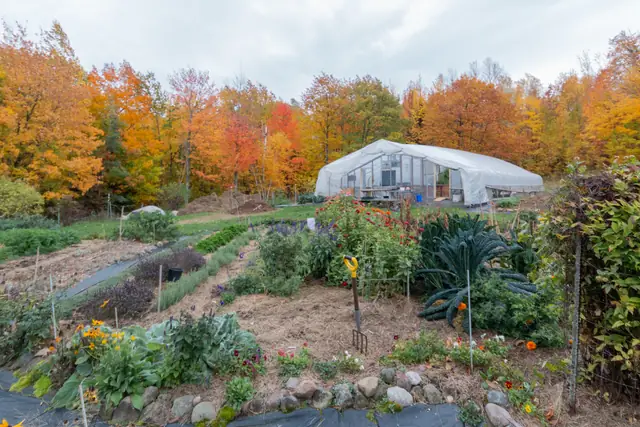 Gardens and greenhouse surrounded by fall color