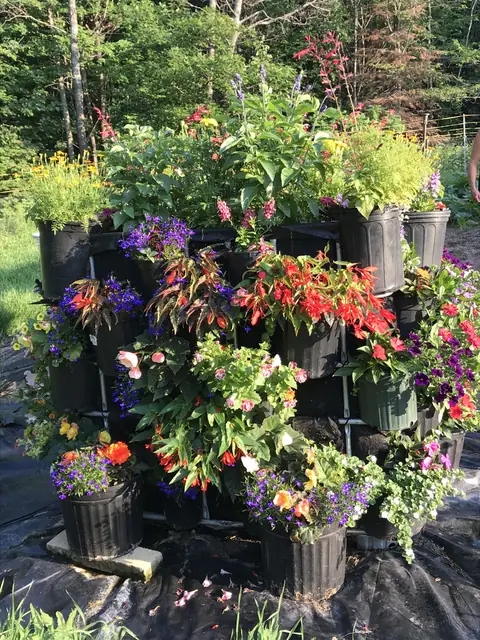 Flower cube planter filled with annuals