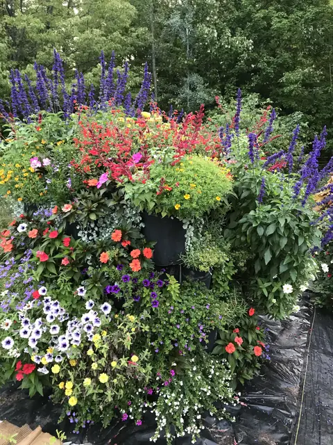 Tall flower cube planter in full bloom