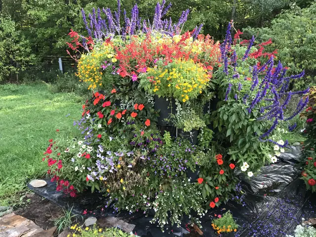 Flower cube planter with salvia and marigolds