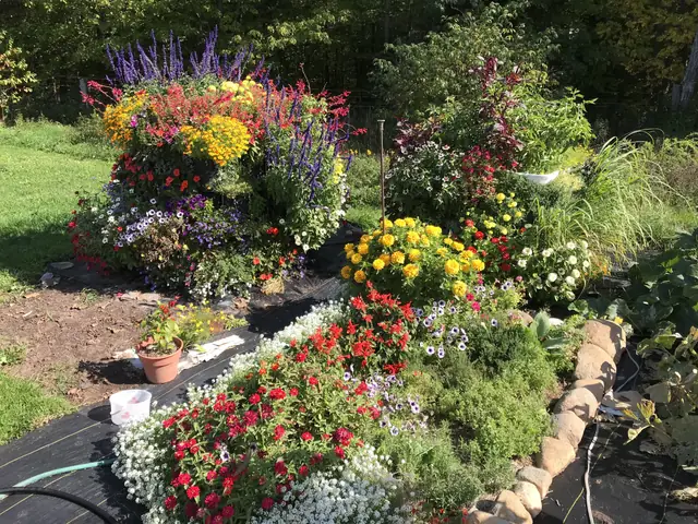 Flower cube planters along a garden path