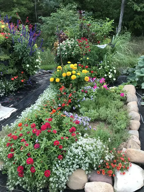 Flower cubes with zinnias and alyssum