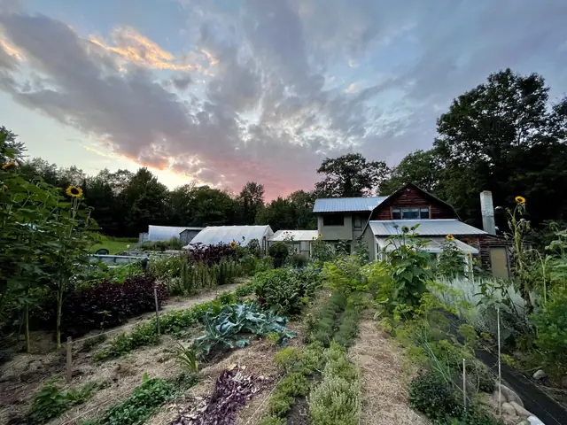 Herb and vegetable gardens at sunset