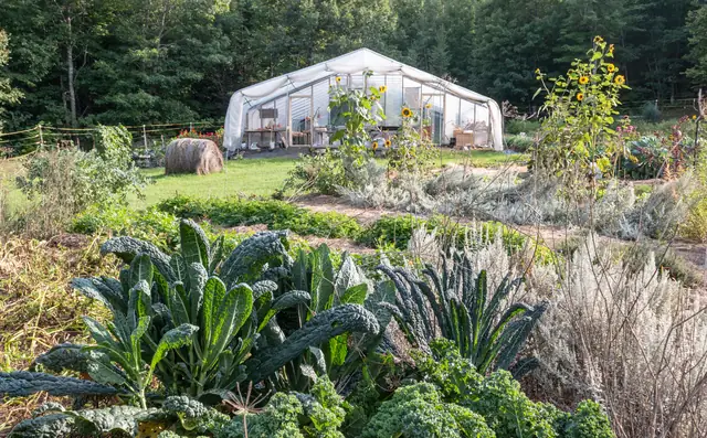 Flower and vegetable gardens surrounding the Silver Sage greenhouse