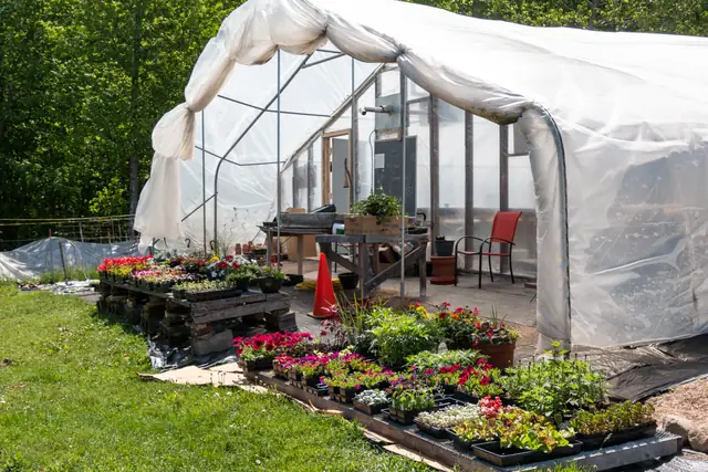 Greenhouse open for spring plant sales