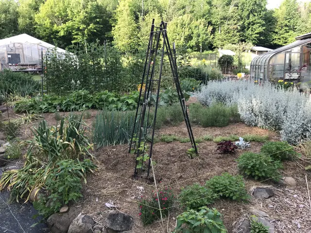 Herb garden with trellises and greenhouses
