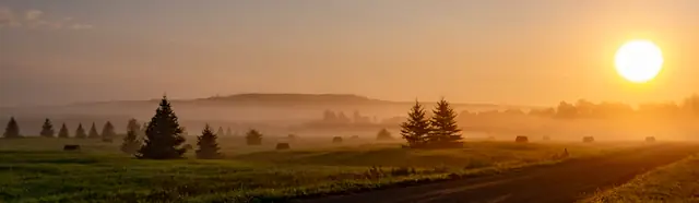 Misty sunrise over the hill near Arney Road